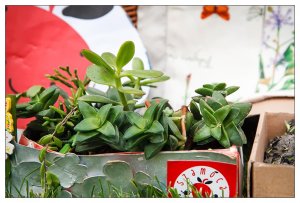 15280987859_f0b84b3377_o