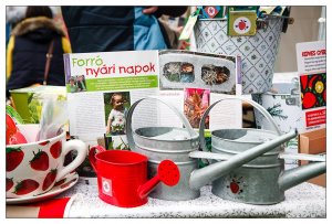 15467537562_4f69579bd5_o